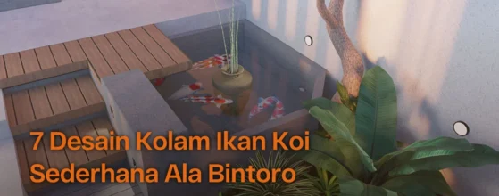 kolam ikan sederhana
