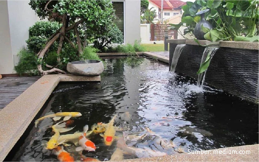 Desain kolam ikan kecil depan rumah