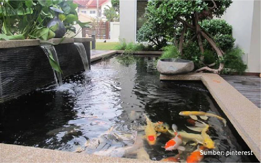 kolam ikan minimalis