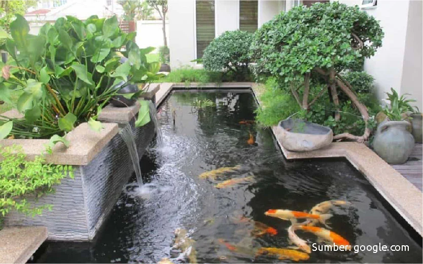 kolam ikan minimalis