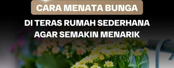Cara Menata Bunga di Teras Rumah Sederhana