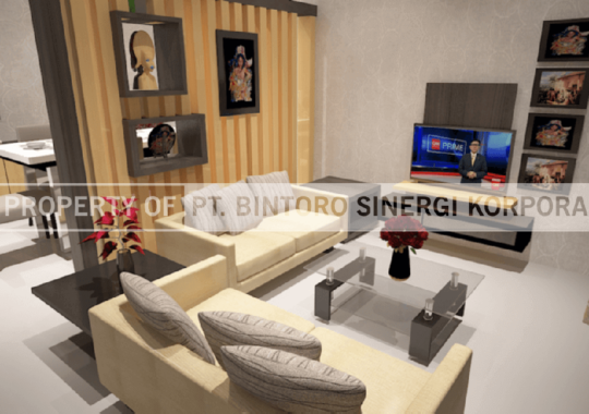 Project 001 Mr IND House