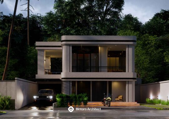 Project 295 Mr. AD House